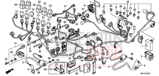 FAISCEAU DES FILS (XL1000VA) XL1000VAB de 2011